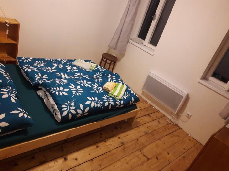 Apartman Pod Marianskou Horou Desná Exterior foto